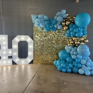 40th Birthday Garland & Shimmer Wall with Marquee Light up Numbers